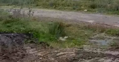 Plot of land in Batumi, Georgia