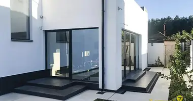 Cottage in Zdanovicki sielski Saviet, Belarus