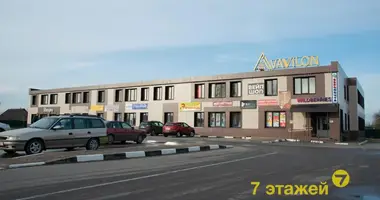 Office 1 550 m² in Lyepyel, Belarus