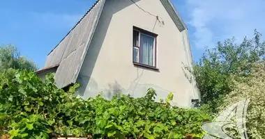 Haus in Muchaviecki sielski Saviet, Belarus