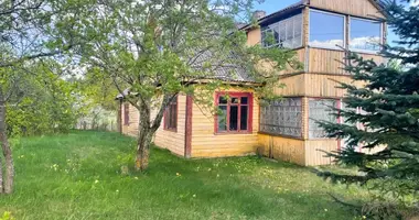 Haus in Perloja, Litauen