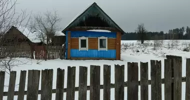 House in Barysaw District