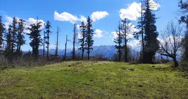 Terrain dans Mukhaestate, Géorgie
