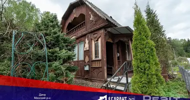 Dom w Piatryskauski sielski Saviet, Białoruś