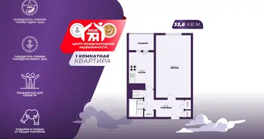 1 room apartment in Minsk, Belarus