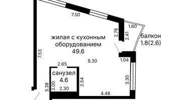 1 bedroom apartment in Minsk, Belarus