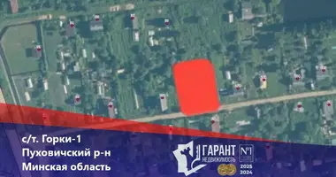 Plot of land in Dukorski sielski Saviet, Belarus