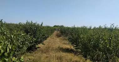 Участок земли в Igdir, Турция