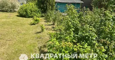 Haus in Rakauski sielski Saviet, Belarus