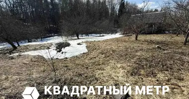 Grundstück in Hajnienski sielski Saviet, Belarus