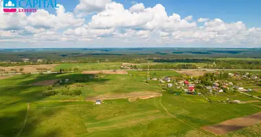 Участок земли в Lazdenai, Литва