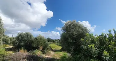 Wohnung in Kouklia, Zypern