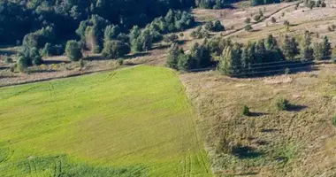 Terrain dans Vabaliai, Lituanie