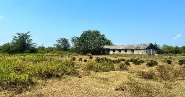 Działka w Choni, Gruzja