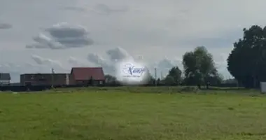 Działka w Północno-Zachodni Okręg Federalny, Rosja