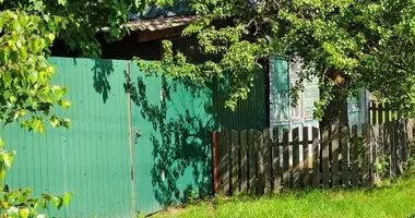 House in Barscouski sielski Saviet, Belarus