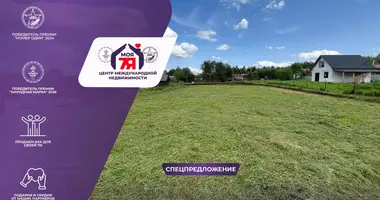 Участок земли в Швабский сельский Совет, Беларусь