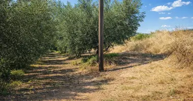 Parcela en Nea Triglia, Grecia