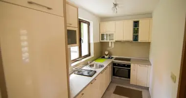 Haus 4 Schlafzimmer in Krasici, Montenegro