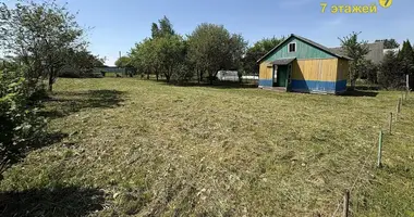 House in Zabalocki sielski Saviet, Belarus