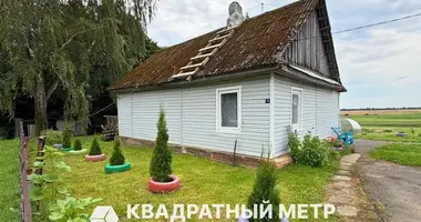 House in Fanipalski sielski Saviet, Belarus
