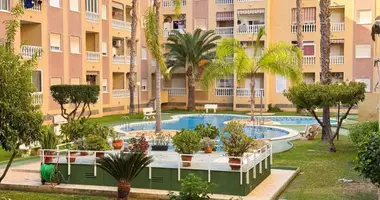 1 bedroom apartment in Torrevieja, Spain