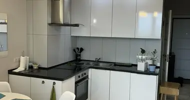 2 bedroom apartment in Minsk, Belarus
