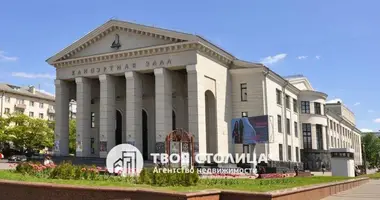 3 bedroom apartment in Minsk, Belarus