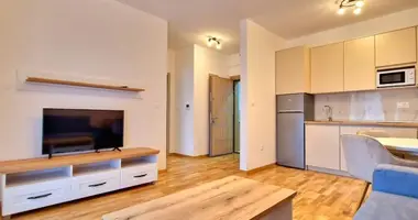 Apartamento 1 habitacion en Boreti, Montenegro