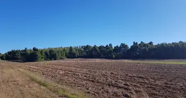 Plot of land in Kassandreia, Greece