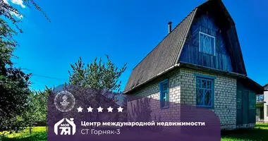 Haus in Starobinski sielski Saviet, Belarus