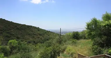 Участок земли в Фару, Португалия