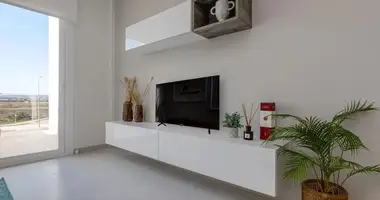 2 bedroom apartment in Guardamar del Segura, Spain