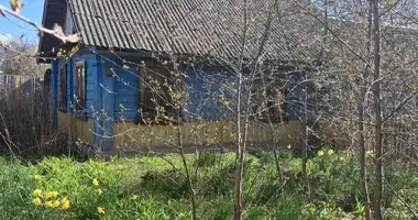 House in Uzda, Belarus