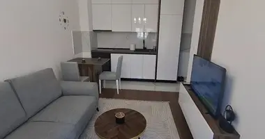 Appartement 1 chambre dans Podgorica, Monténégro