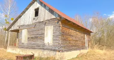 House in Dzyatlava, Belarus
