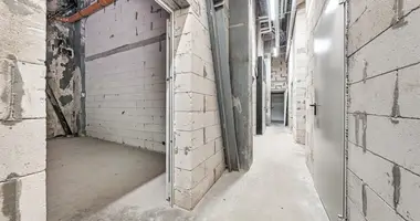 Gewerbefläche 42 m² in Vilnius, Litauen