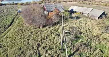 Dom w Slabodkauski sielski Saviet, Białoruś