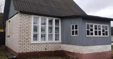 House in Chervyen District, Belarus