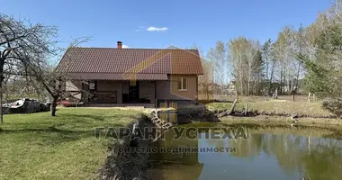 Haus in Vialikija Radvanicy, Belarus