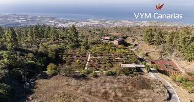 Wohnung 1 Schlafzimmer in Guia de Isora, Spanien