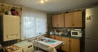 Haus in Nawahrudak, Belarus