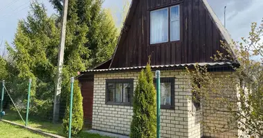 House in Zodzinski sielski Saviet, Belarus