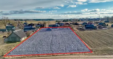 Grundstück in Dewinischek, Litauen