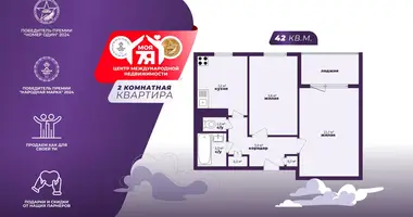 2 room apartment in Minsk, Belarus