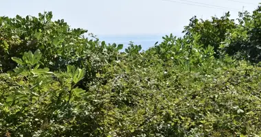 Grundstück in Gemeinde Thasos, Griechenland