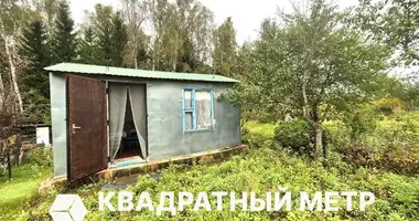 Dom w Radaskovicki sielski Saviet, Białoruś