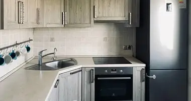 2 bedroom apartment in Minsk, Belarus