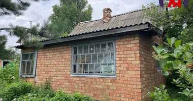 Haus in Holacki sielski Saviet, Belarus