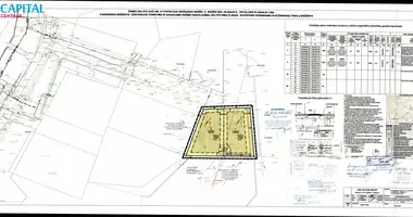 Plot of land in Didzioji Riese, Lithuania
